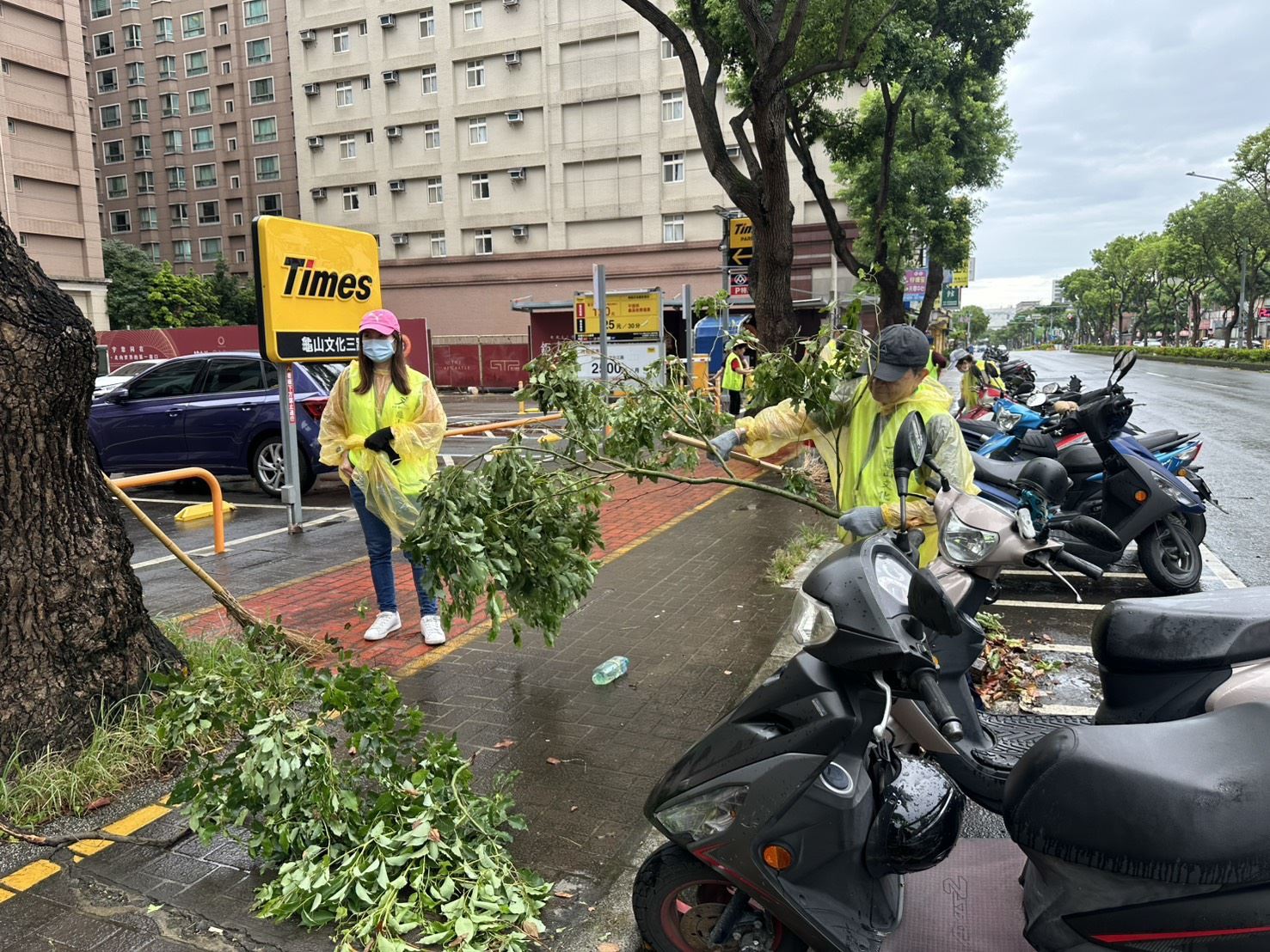 「巴威」颱風過境 桃園環保局全體動員恢復市容 並籲民眾落實巡倒清刷防登革熱 (4).jpg